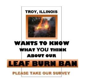 leaf burn ban